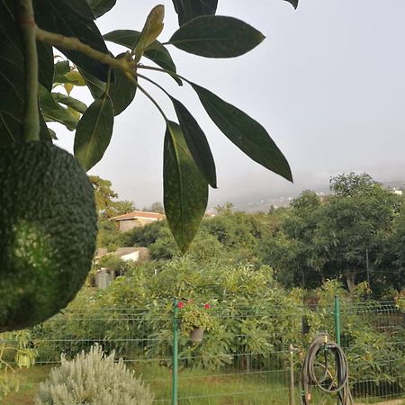 Lugares Comunes Affittacamere Los Realejos Esterno foto