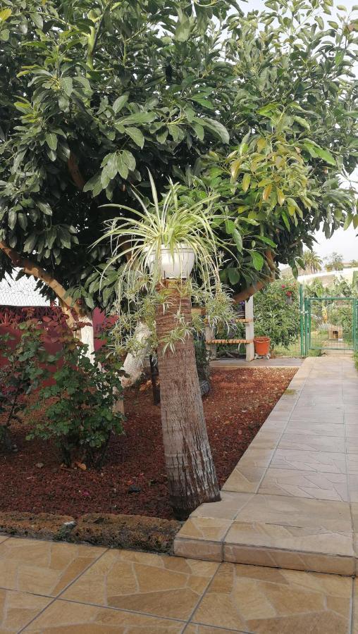 Lugares Comunes Affittacamere Los Realejos Esterno foto