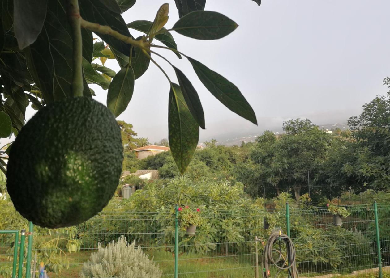 Lugares Comunes Affittacamere Los Realejos Esterno foto